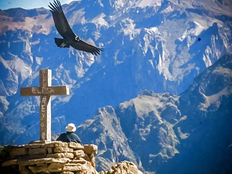 fligth condor cañon